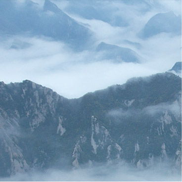 网页端ddos